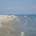 Holiday Borgorosso بيت للعطل *