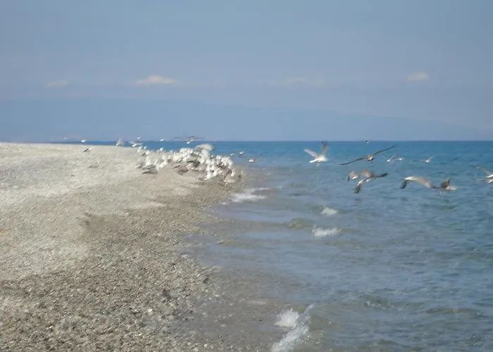 Holiday Borgorosso Tatil Evi *