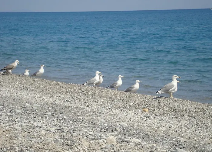 Tatil Evi Holiday Borgorosso *