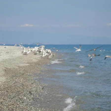 Holiday Borgorosso Holiday home *