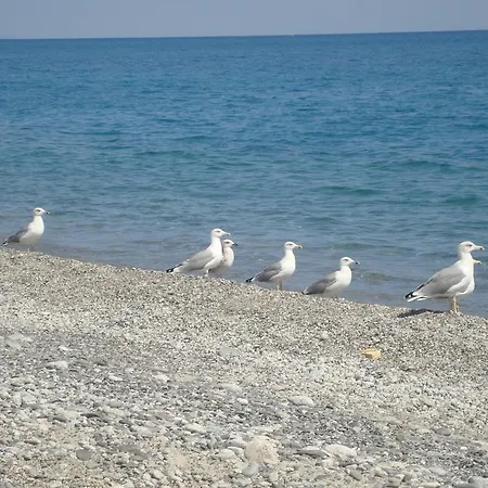 Holiday home Holiday Borgorosso *